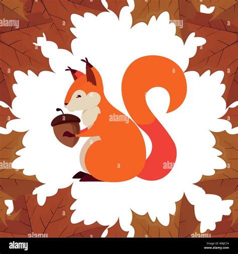 Squirrel Acorn Happy Autumn Season Vector Illustration Stock Vector