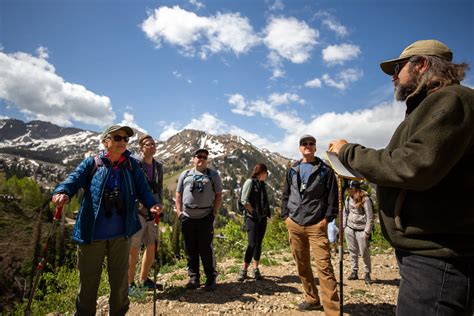 Alta Summer Stewardship Programs