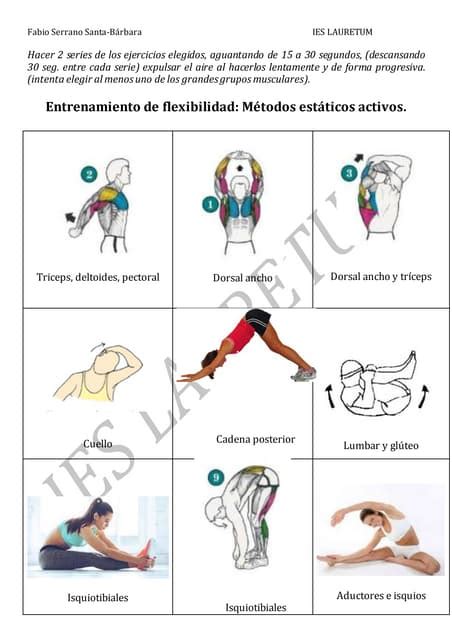 Entrenamiento Flexibilidad Pdf