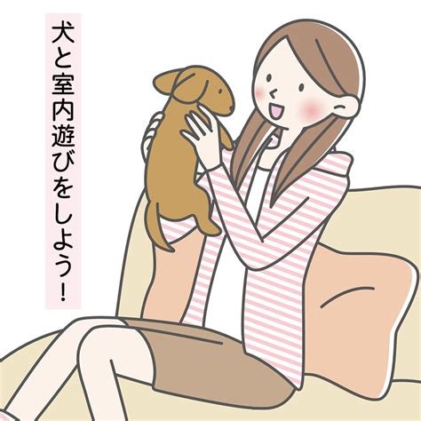 【ドッグトレーナー監修】犬と室内遊びをしよう！おすすめのおもちゃと犬が喜ぶ遊び方