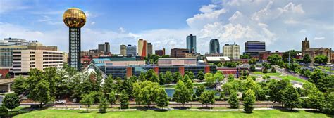 Find Accredited Ultrasound Technician Schools In Tennessee
