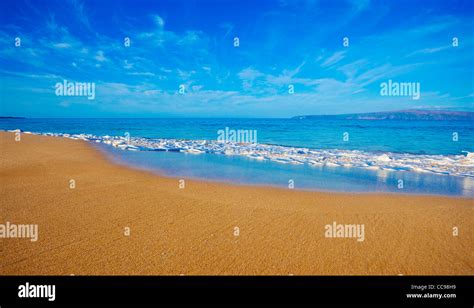 Tropical Beach in Hawaii Stock Photo - Alamy