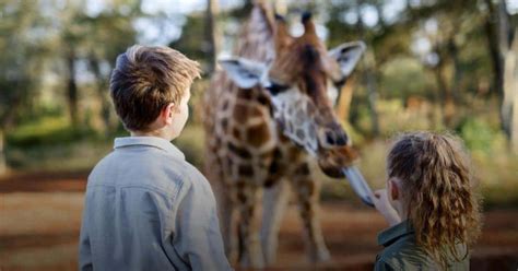 Z dziećmi rodziną przyjaciółmi do zoo Ranking 25 najlepszych miejsc