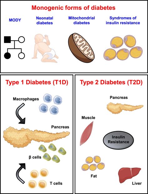 New Opportunities Harnessing Induced Pluripotency For Discovery In