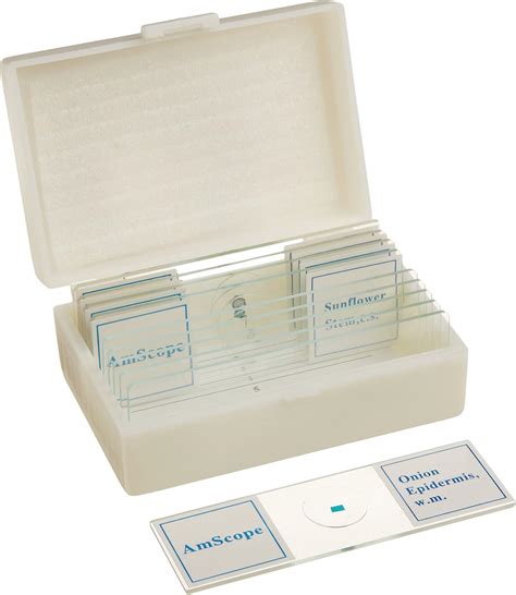 Amscope Ps10 Blank And Prepared Microscope Slide Set For Basic