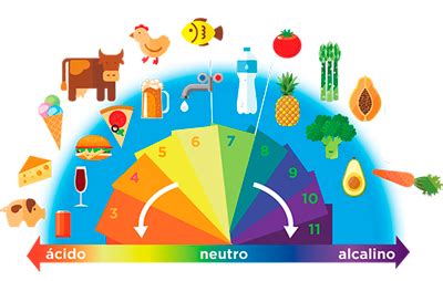 La medición del pH en las ramas de la Industria Alimentaria Blog GIMIM