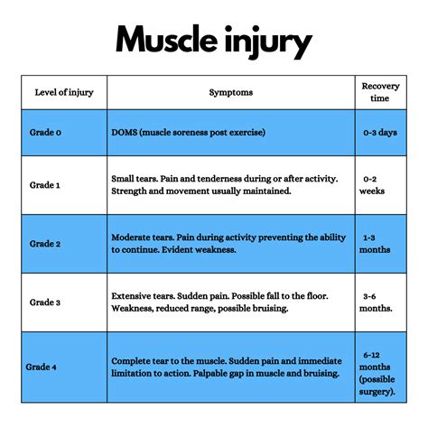 Muscle Injuries Hallamshire Physiotherapy