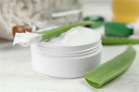 Aloe Vera Crema Quando E Perch Usarla E Come Prepararla In Casa