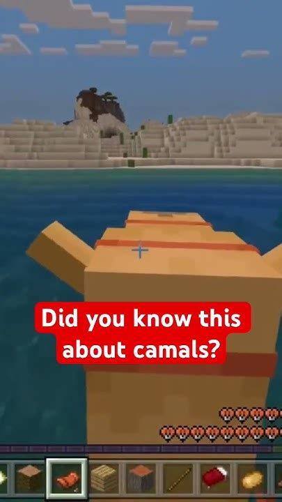 Did You Know This About Camals In Minecraft Minecraft Minecraftshorts Camal Survival Mobs