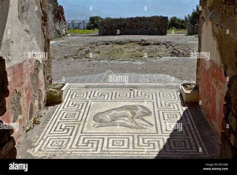 Pompeii Mosaic Stock Photos & Pompeii Mosaic Stock Images - Alamy