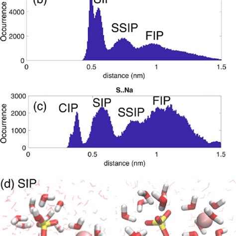 A Coordination Number Of So 4 2− Ions By Water Molecules Derived From