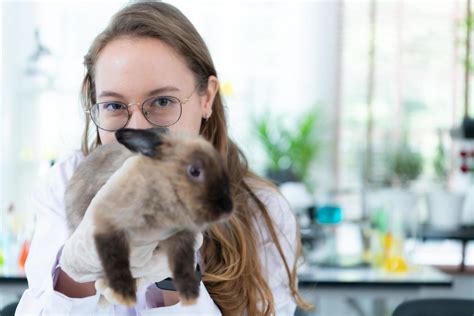 Veterinarian Stock Photos, Images and Backgrounds for Free Download