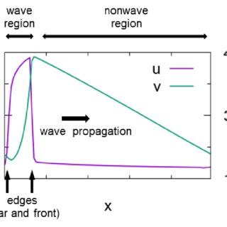 Fig S Protein Concentration Profiles In A Propagating Wave In