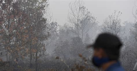 Bmkg Deteksi Titik Panas Di Kalimantan Timur