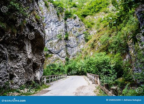 Sohodol Gorges Stock Photo Image Of Path Bridge Hiking 258552200