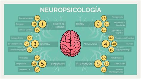 QUÉ ES LA NEUROPSICOLOGÍA