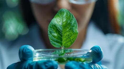 Premium Photo | Female scientist working plant biology biotechnology ...