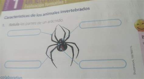 Me Ayudan Con Este Plis Es Para Ma Ana Xdrotula Las Partes De Un