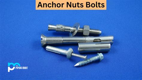 What is Anchor Nut Bolt? Types and Uses