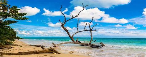 Real Cost Of Andaman Trip Exploring Paradise
