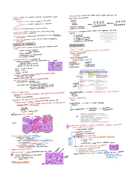 Solution Neoplasia Part Studypool