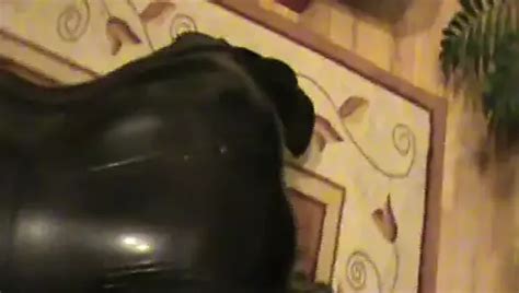 The Rubberpet In The Cage Hungarian Gay Latex Big Cock Porn Xhamster