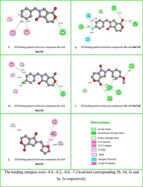 Two Dimensional Binding Patterns Between δ Lactone γ Lactam Derivatives