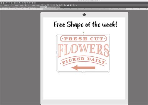 How To Get The Free Shape Of The Week In Silhouette Studio Whimsy