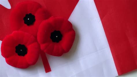 Canadian Poppy In A Canadian Flag, Celebration Of The Remembrance Day ...