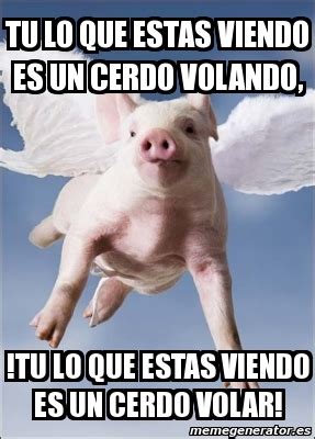 Meme Personalizado Tu Lo Que Estas Viendo Es Un Cerdo Volando Tu Lo