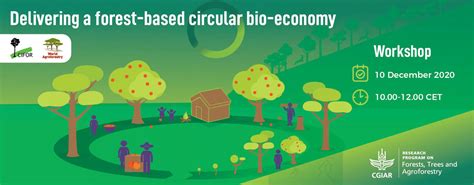 Delivering A Forest Based Circular Bio Economy Circular Bioeconomy