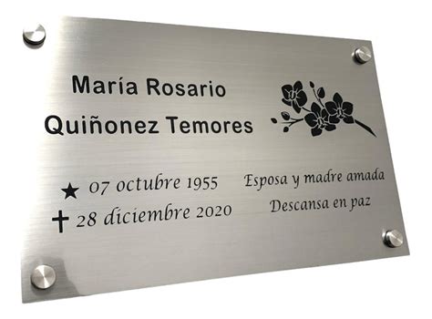 Placa De Acero Inox Plateado Grabada 20x15cm Meses Sin Intereses