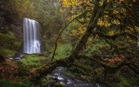 Wodospad Na Terenie Rezerwatu Przyrody Columbia River Gorge