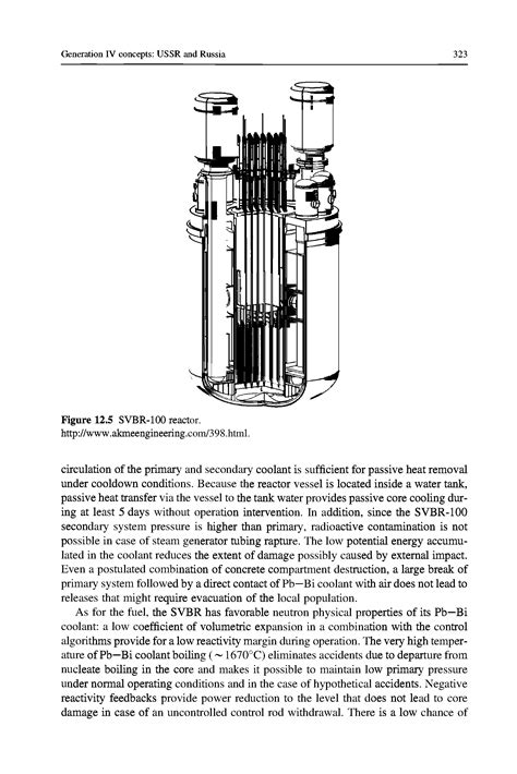 Svbr 100 Reactor Big Chemical Encyclopedia