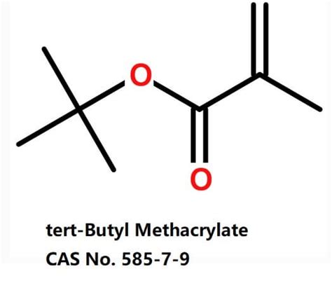 Tert Butyl Methacrylate Tradekorea