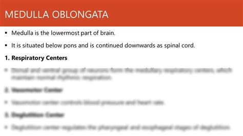 Solution Brain Stem Of Brain Medulla Oblongata Pons Midbrain Complete
