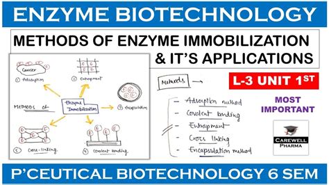 Methods Of Enzyme Immobilization L U Pharmaceutical