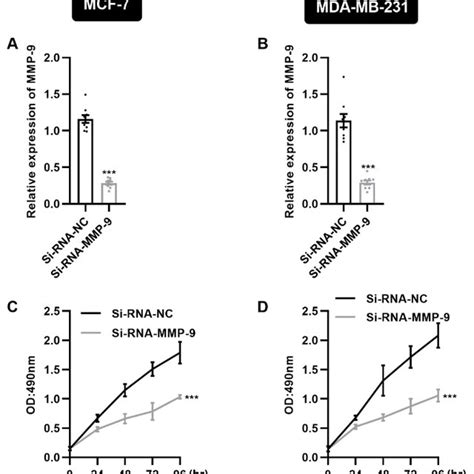 Effect Of Different Doses Of Sfn On Proliferation Activity And