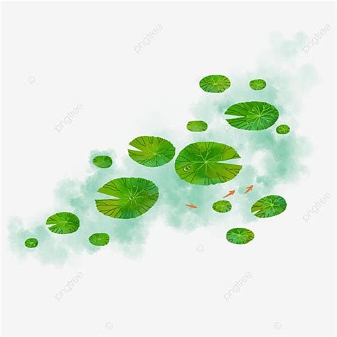 Duckweed Png, Vector, PSD, and Clipart With Transparent Background for ...