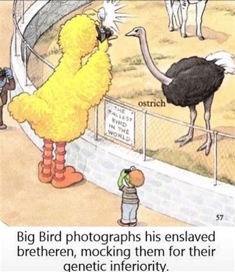 Big Bird At It Again Really Funny Memes Dark Humour Memes Funny Memes