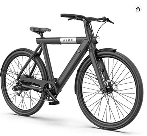 Bird Bike Review: What Can I Say About This E-Bike?