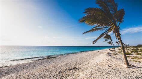 The 10 Best Pink Sand Beaches In The Caribbean Caribbean Journal