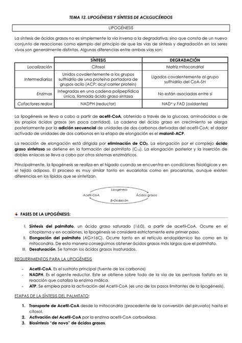 T Lipog Nesis Y S Ntesis De Acilglic Ridos Studocu