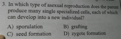 Solved In Which Type Of Asexual Reproduction Does The Parent