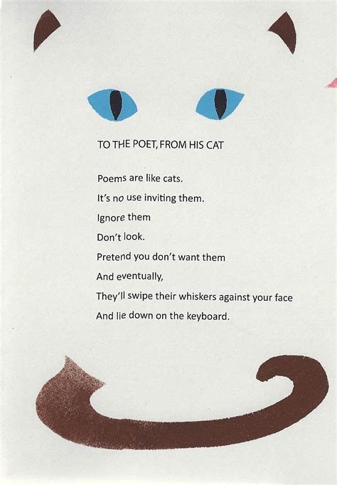 Cat Poems That Rhyme