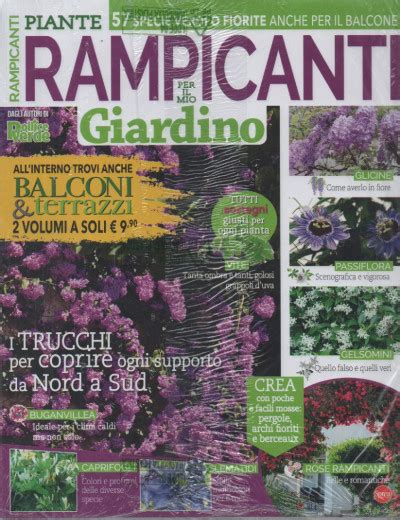 Pollice Verde Speciale Rampicanti Per Il Mio Giardino Balconi