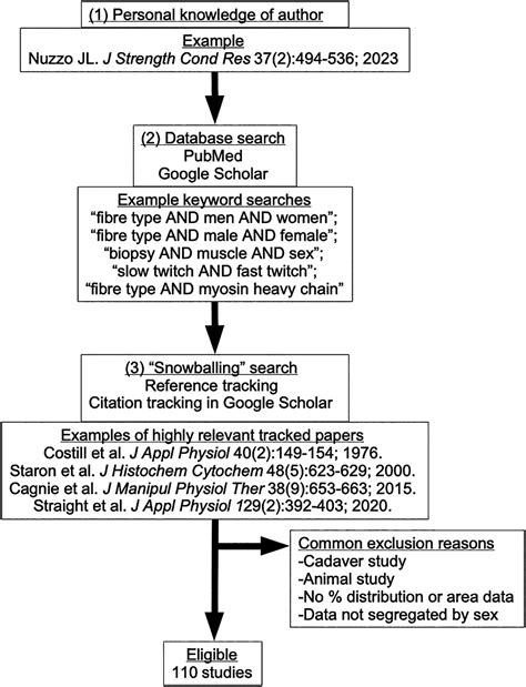 Sex Differences In Skeletal Muscle Fiber Types A Metaanalysis Nuzzo 2024 Clinical