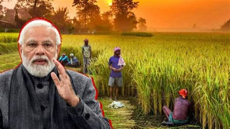 16th PM Kisan Installment Released By PM Modi Steps To Check Status