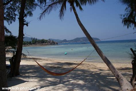 Koh Phangan Coconut Beach And Garden Bungalows Fotogalerie Koh Phangan