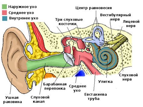 Лечение отита